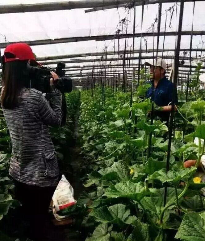 好肥萬里行之青島中天助力成武農業科技